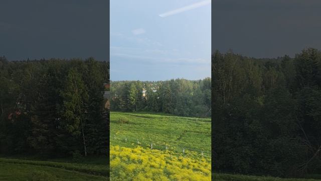 дорога с дачи