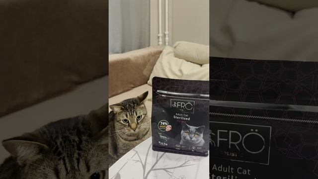 Обзор на новый холистический сухой корм SkogsFro для стерилизованных котов.