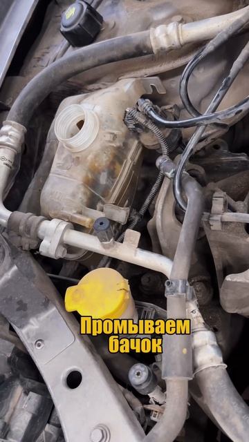 Замена антифриза Флюенс