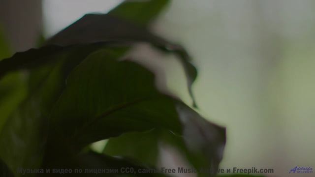 Слушайте её вместе - и почувствуйте, как вы становитесь ближе! - No One Cares -- Mise Darling -- Reb