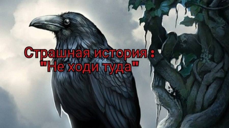 Страшилка на ночь  : Не ходи туда! Читает : Ворона