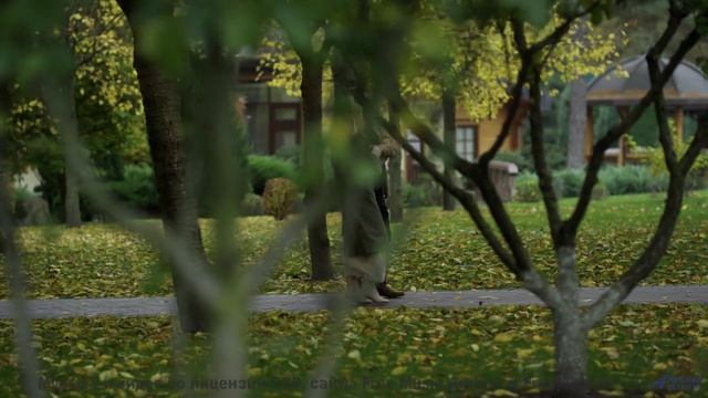 Это видео - как глоток свежего воздуха для души! - Mont Blanc -- Podington Bear -- Homage Fromage (B