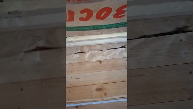 1000025849.mp4 (Собака следит за планированием приточно-вытяжной вентиляции в доме А-фрейм)