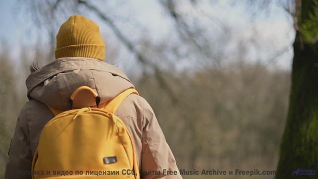 Леса качаются, как море, под такую мелодию - Undercover -- Ketsa -- 5D