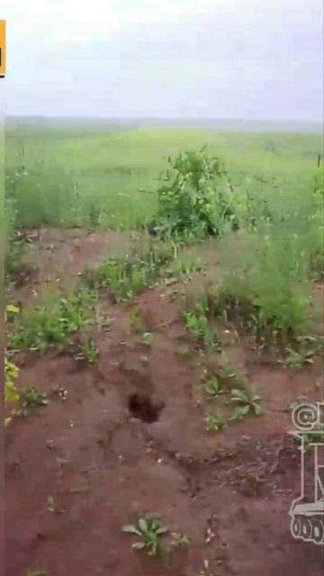Русские перешли границы Днепропетровской области!