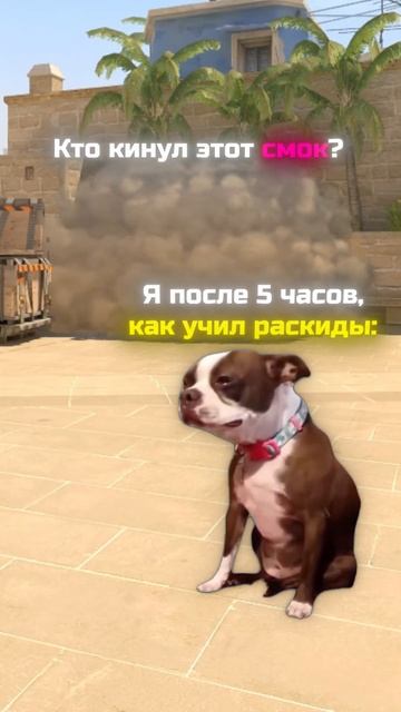 Зря учил #csgo #cs2meme #memes #кс2 #cs2memes #cs2moments