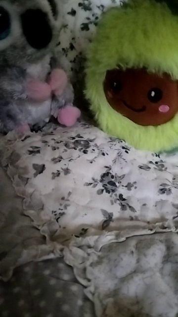 Коала Риви 🐨