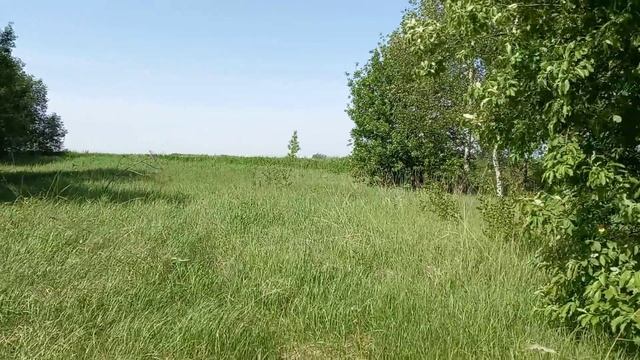 Торги на земельный участок с КН 50:04:0210108:1116