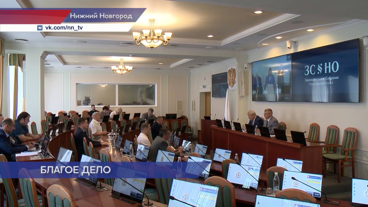 Депутаты Нижегородской области предложили дополнительные меры поддержки детям-сиротам