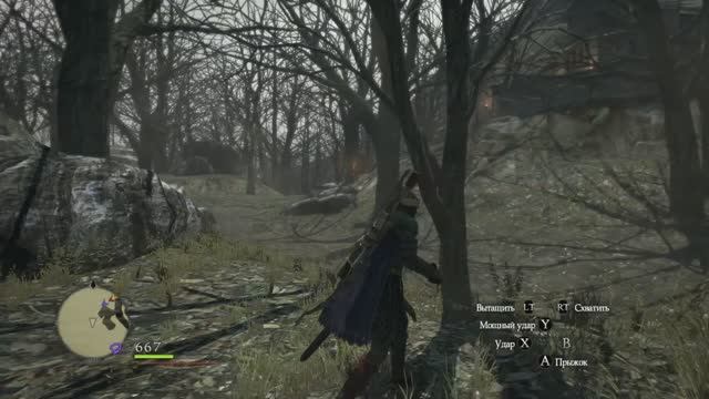 Dragon's Dogma- Dark Arisen - Прикольный лес