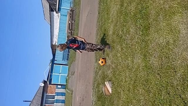 тренировка