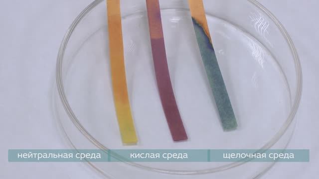 10. Использование индикаторной бумаги