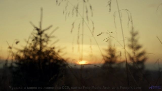 Мелодия, которая звучит как поцелуй под звёздами... - Ive Got The Blues -- HoliznaPATREON -- Orphane