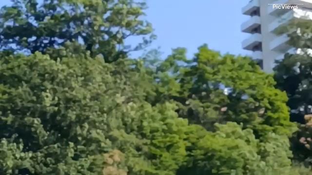 Небуг Туапсинский район Краснодарский край пляж Хайденс сегодня 9 июня 2025. Море, погода, пляж