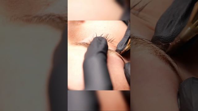 Растушевка бровей: второй проход и создание объёма #перманентныймакияж #перманентбровей #брови #пм