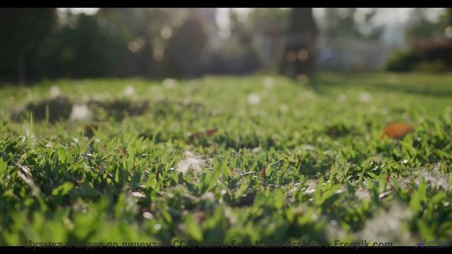 Кадры, которые восстановят ваше зрение - удивительно! - Mont Blanc -- Podington Bear -- Homage Froma
