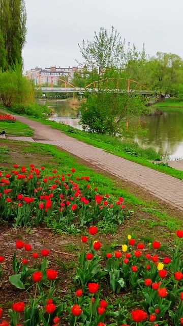 Все краски весны в парке Белгорода