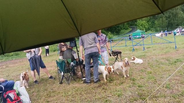 Собачья тусовка на выставке перед рингом. 7.06.25. Москва.