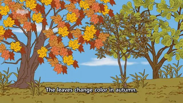 01. Four Seasons of the Year Spring, Summer, Autumn, Winter Stories for Kids