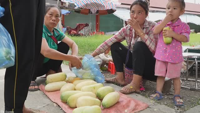 Single mother and her children harvest giant melons to sell at the market - take care of piglets.