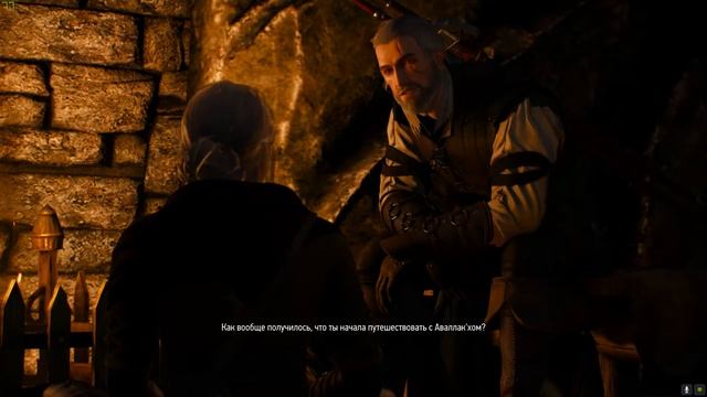 The Witcher 3 Диалог Геральта и Цири