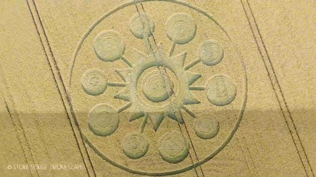 Круги на полях 51