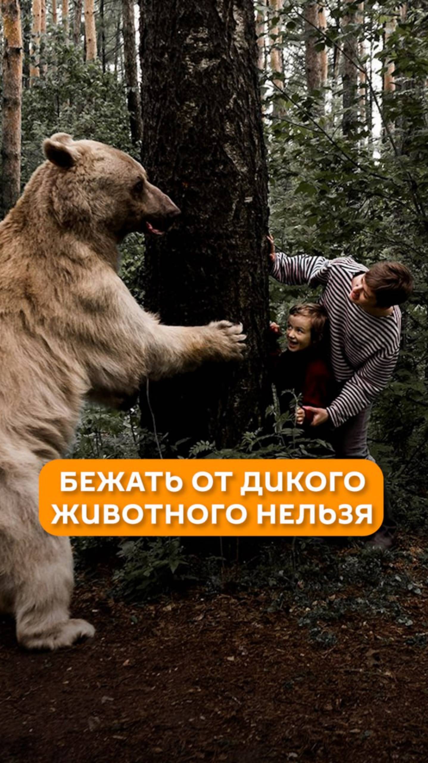 Бежать от дикого животного