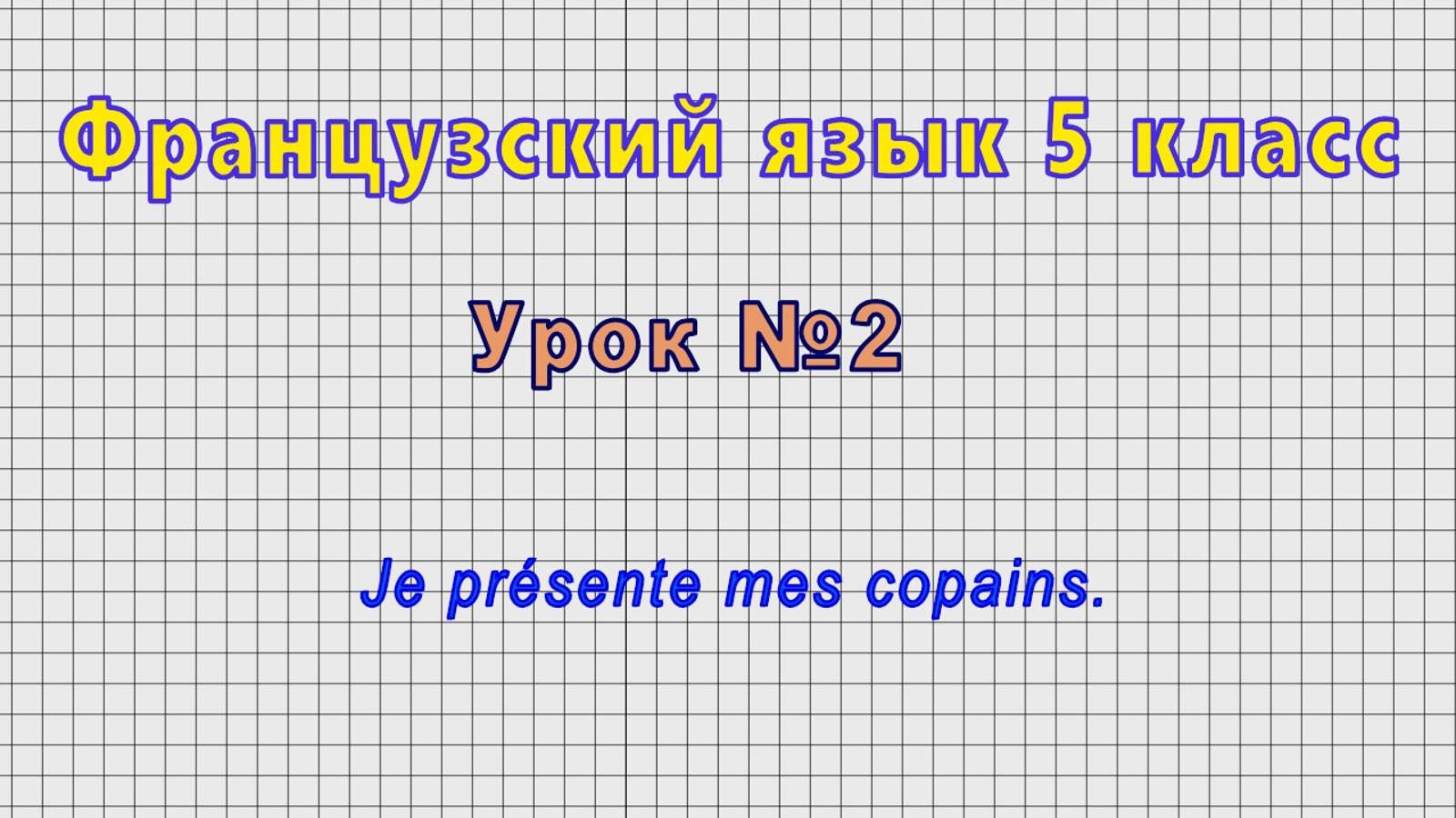 Французский язык 5 класс (Урок№2 - Je presente mes copains.)
