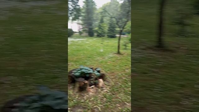 08.06.2025 год. Храм Живоначальной Троицы в Останкино