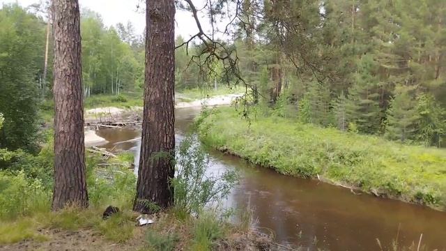 смотровая площадка на реку Барнаулку