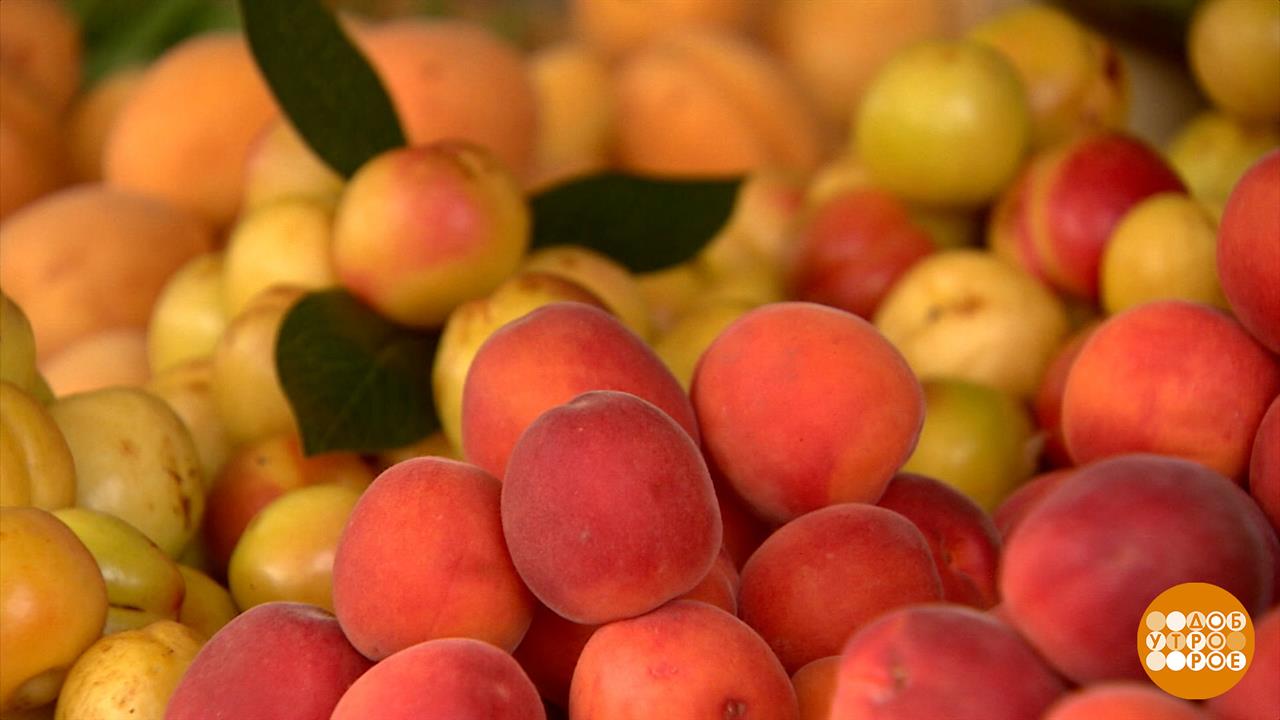 Абрикосы: на цвет и вкус... Доброе утро. Фрагмент выпуска от 09.06.2025