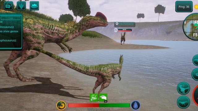 THE CURSED ISLE