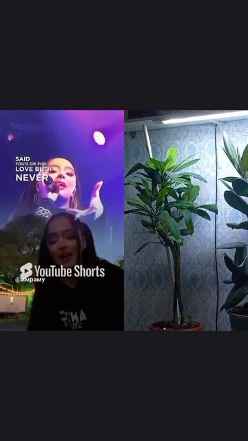 музыка
