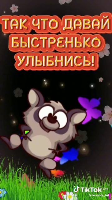 енотик🦝🦝🦝