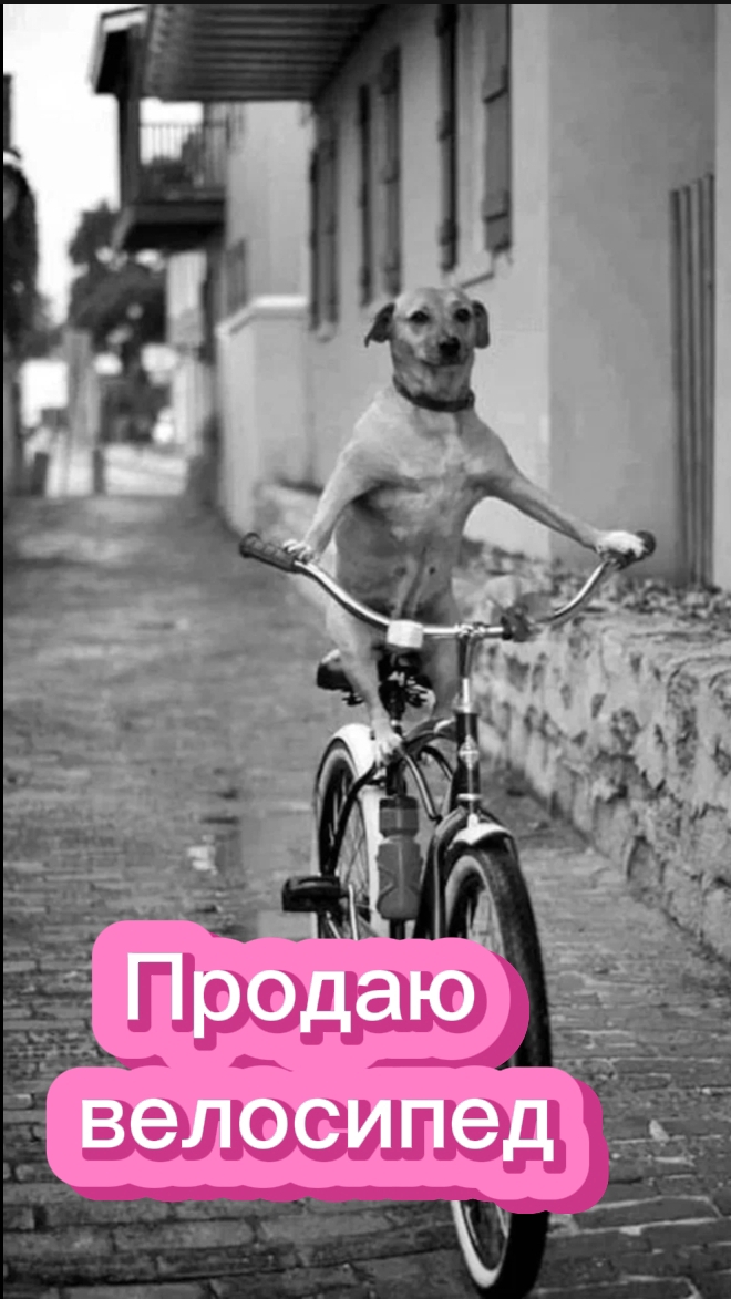 Велосипед продаёте?