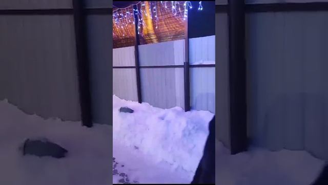 09-06-2025