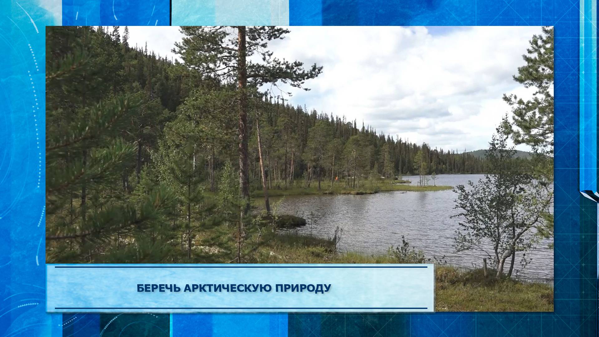 Беречь арктическую природу