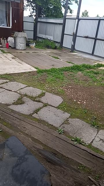 1000189209.mp4