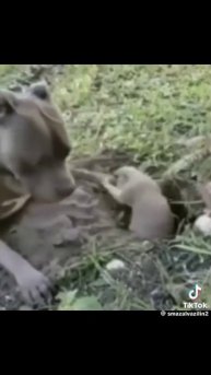 Чё те надо, у меня дома?.. 🤣