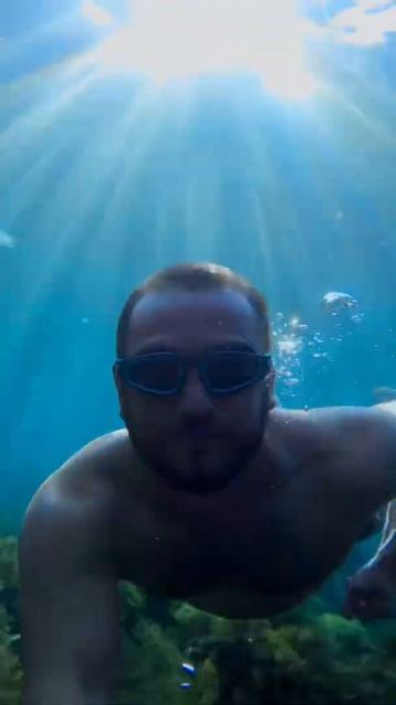 Подводный мир Чёрного Моря