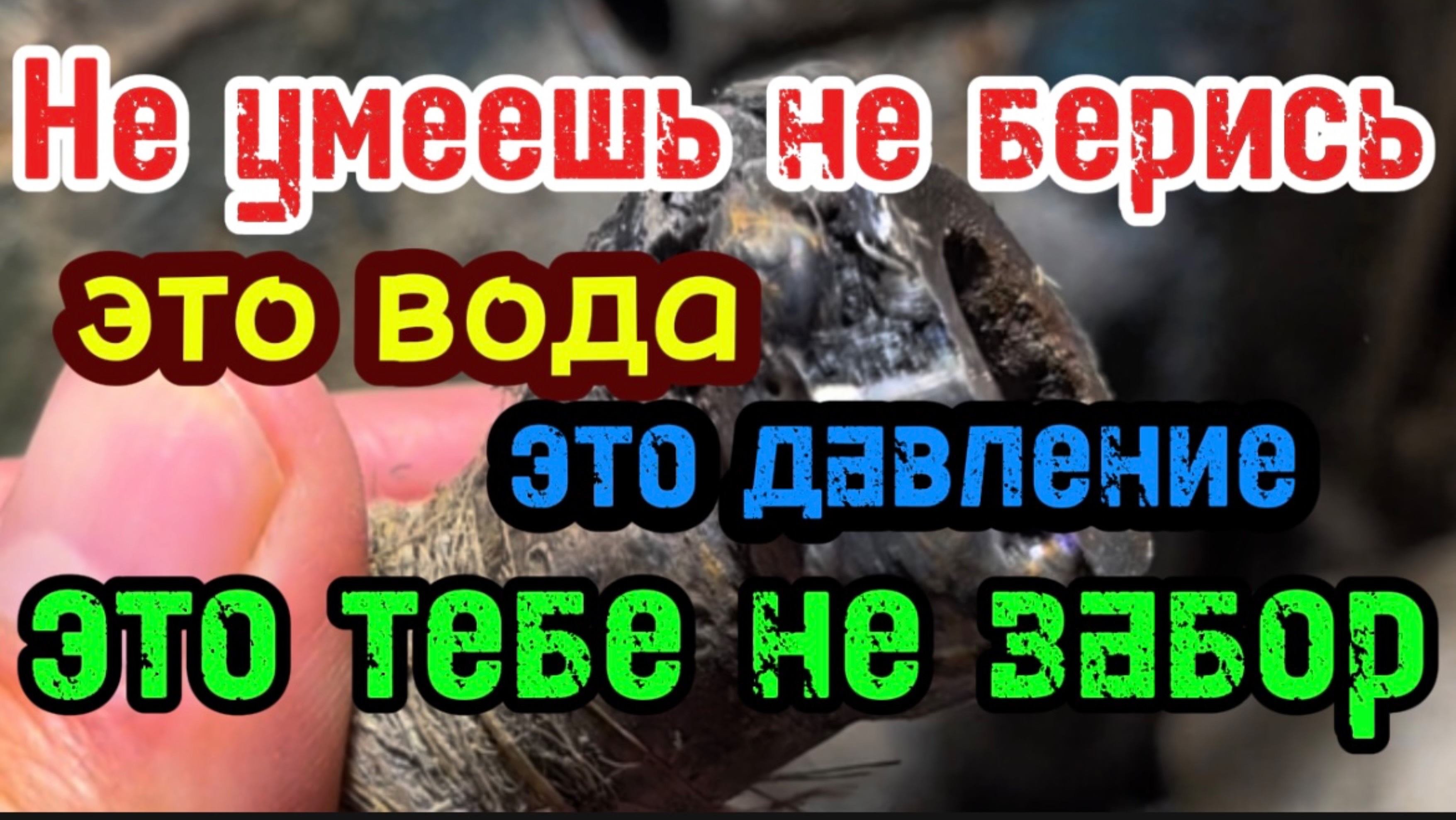 Не умеешь не берись #сантимшва #сваркатруб #сварщики #welder #foxweld