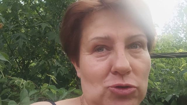 Донбасс на связи. Про сборы. Заболела. Катюхина жизнь.