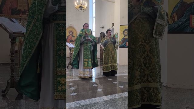 Великий вход. Фрагмент Божественной литургии на праздник Святой Троицы. Петропавловский храм г.Пензы