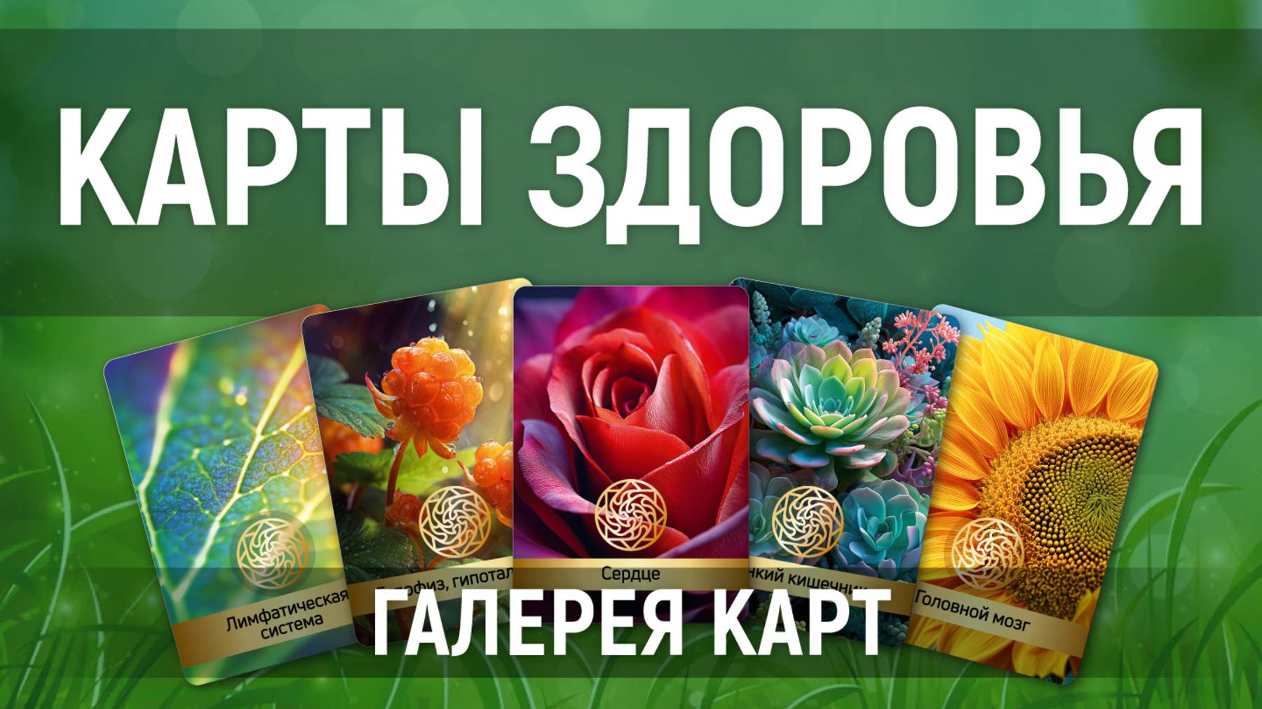 "Карты Здоровья" – галерея