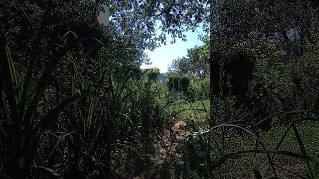 Таро.Что сейчас происходит в жизни мужчины.