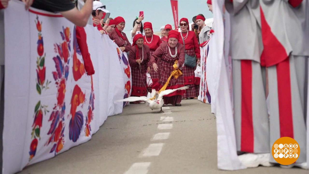Парижский полумарафон: гуси тоже участвуют! Доброе утро. Фрагмент выпуска от 09.06.2025