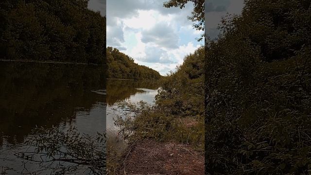 РЫБАЛКА НА ШИШМЕ.