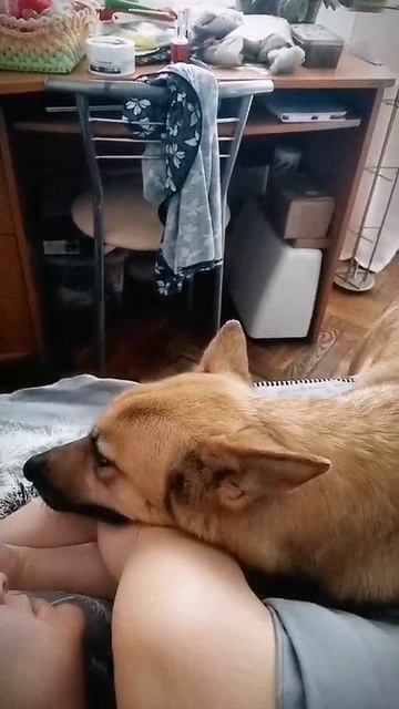 Всем спать!😴🥰😅