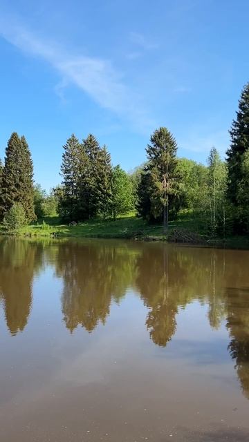 Продается участок 86 соток, состоящий из пяти смежных лесных участков п. Искра