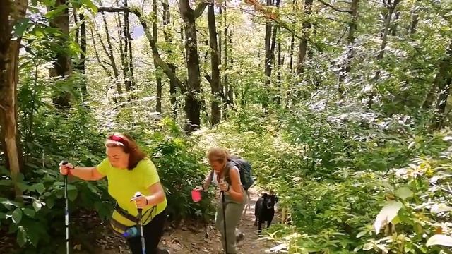 16.08.2020 за черникой! Семеновский шпиль